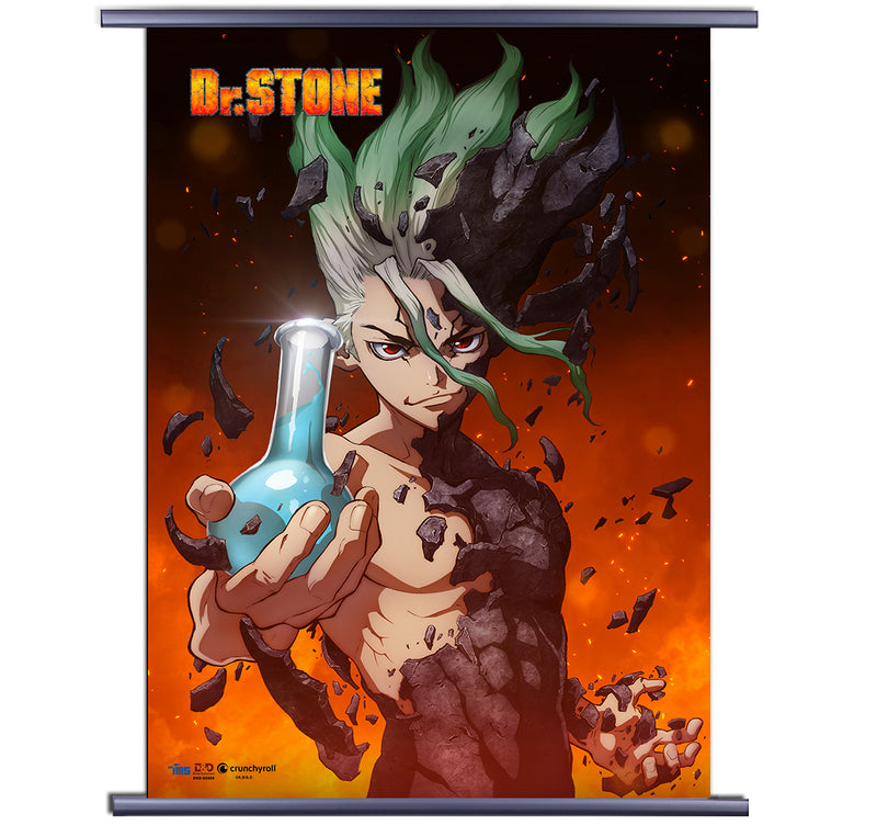 Dr Stone 02 Wall Scroll